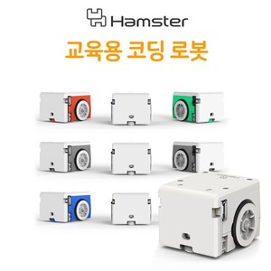 (햄스터 10대 세트+미로판 2세트) 색상랜덤 교육용코딩로봇